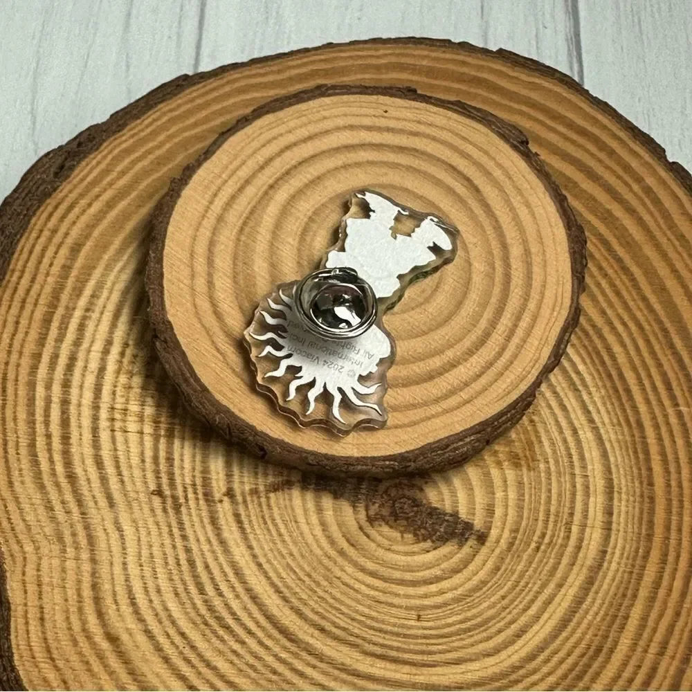 N/A brooch rugrats pin